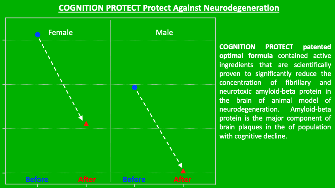 COGNITION PROTECT
